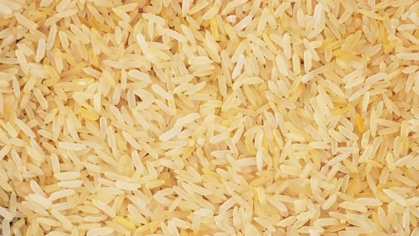 Brown Raw Rice Rotation Closeup Slow Mo