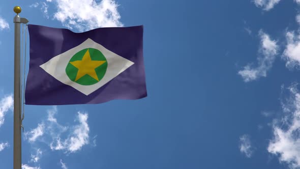 Mato Grosso Flag (Brazil) On Flagpole alt