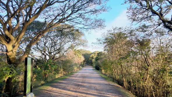 Gravel path in Buenos Aires Ecological Reserve, slow aerial flight; Buenos Aires alt