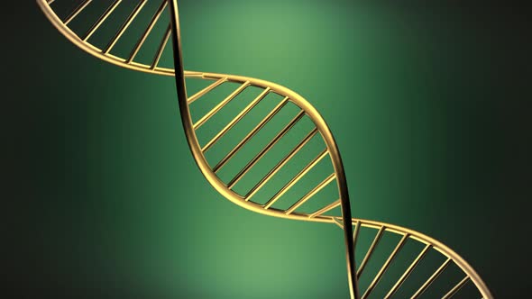 Green Background alt