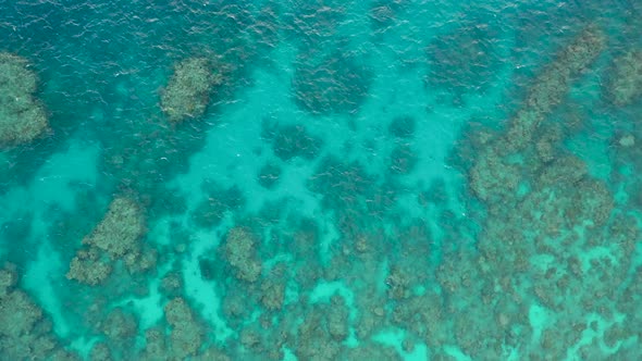 Great Barrier Reef top down aerial view of coral ecosystem and turquoise ocean, near Cairns, Queensl alt