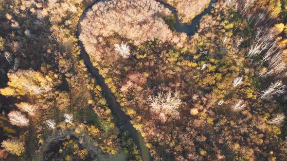 Autumn Aerial Landscape with River