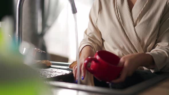 Female hands washing dishes alt