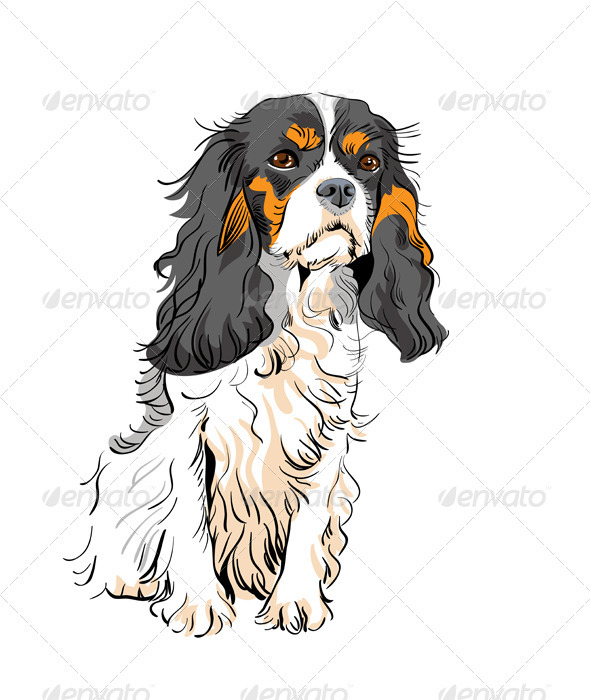 Vector dog Cavalier King Charles Spaniel