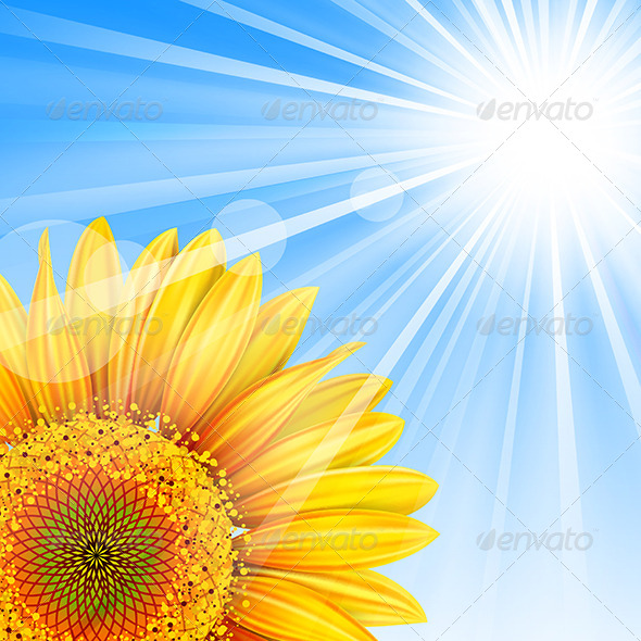 Summer Background - Seasons Nature