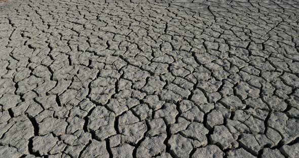 Dryness in the Camargue, France alt