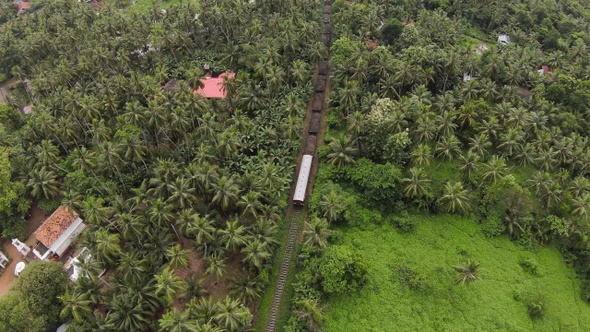 Following Train In Tropical Area