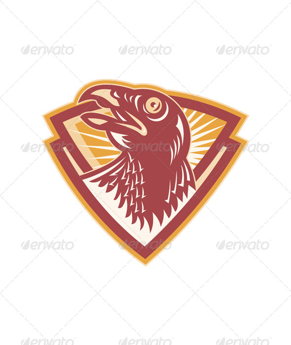 Hawk Head Shield Retro - Animals Characters