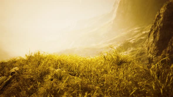 Golden Rocks and Grass in Mountains alt