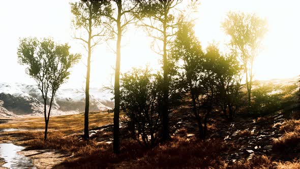 Beautiful Rocks with Few Trees at the Daylight in Nepal alt