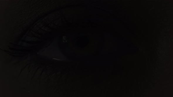 One Female Eye with Makeup Look Directly at Camera, Pupil Narrowing. Close-up alt