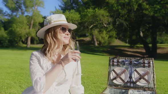Woman with Drink at Summer Picnic Lady Drinking Glass of Wine Enjoying Nature alt