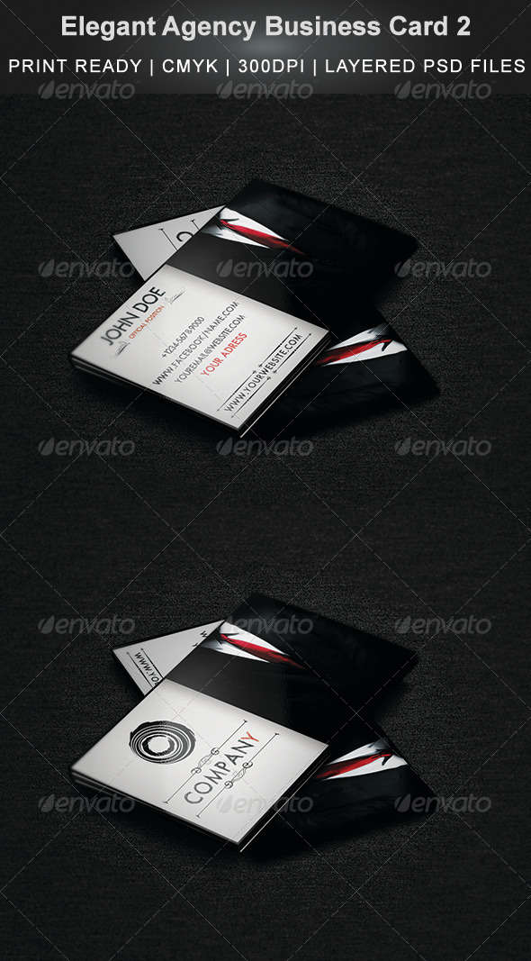 Elegant Agency Business Card 2 - Creative Business Cards