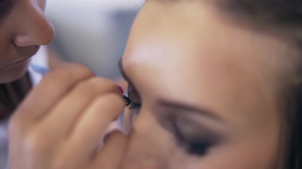 Makeup Artist Makes Makeup Eyelashes in a Young Blonde Woman alt