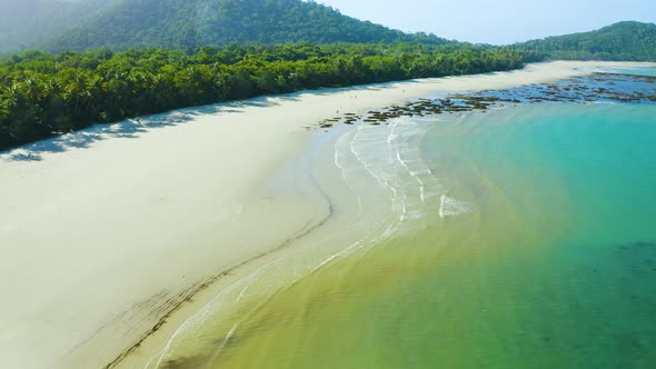 Aerial, Gorgeous Sand Beach And Rain Forest  At Cape Tribulation In Queensland, Australia