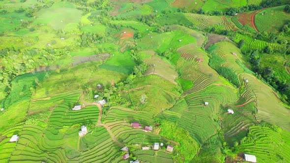 Aerial view of drones flying over rice terraces alt