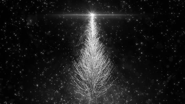 Animated White Christmas Pine Tree Star background seamless loop HD resolution.