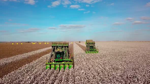 Tractor cotton combine pickers gather rows of cotton bolls - aerial view alt