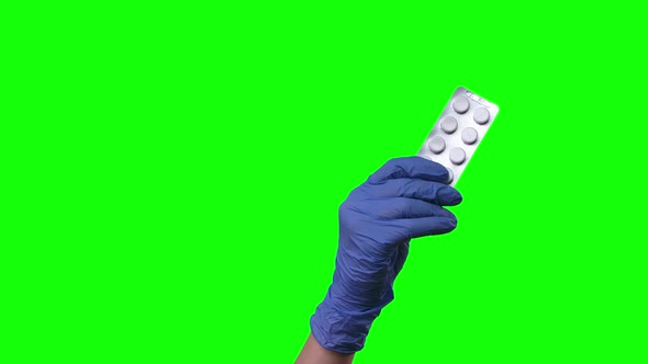 Female Hands in Protective Blue Gloves Closeup at Green Screen alt