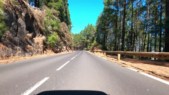 Road in Teide National Park, Tenerife, Canary Islands, Spain alt