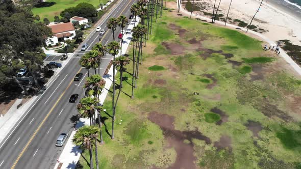 Aerial shot over the palm trees of Chase Palm Park and the busy city streets in Santa Barbara, Calif alt