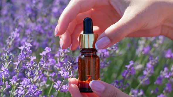 The lavender essential oil in a beautiful bottle in female hand against the background of a lavender