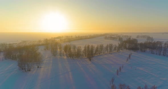 Aerial Drone View of Cold Winter Landscape with Arctic Field Trees Covered with Frost Snow and alt