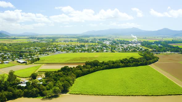 Aerial, Beautiful View On Sugar Cane Plantation In Tablelands In Queensland, Australia