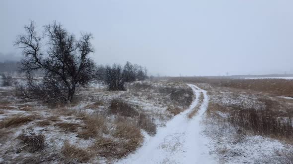 Cold winter weather with fluffy snowflakes falling on a country road