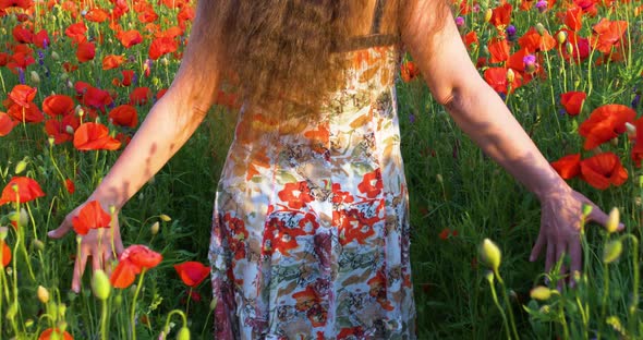 Young Girl Walking Through the Poppy Meadow Under the Sunlight
