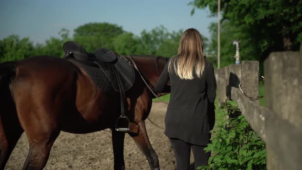 Close Up of a Woman Holding Her Horse By the Rope and Stroking It Gently on the Neck alt