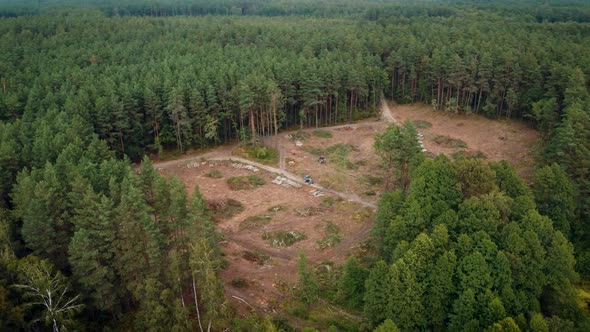 Aerial footage of cut territory of pine and birch forest