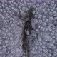 Top down Aerial view of harvester logging a trees in the winter forest 40 - VideoHive Item for Sale