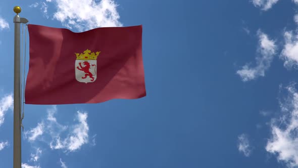 Leon Province Flag (Spain) On Flagpole alt