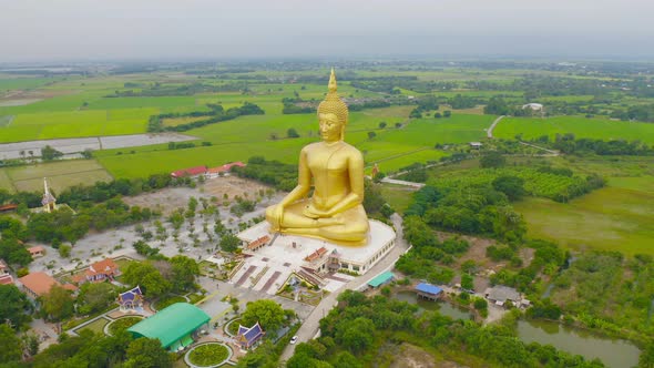 Aerial view of the Giant Golden Buddha in Wat Muang in Ang Thong district with paddy rice field alt