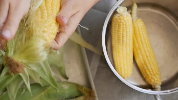 Top View Closeup Female Hands Peel Fresh Corn Cobs and Puts in a Large Pot for Cooking