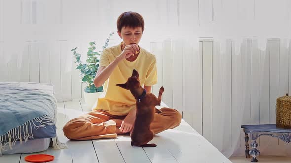 Woman Caucasian Nationality Plays with Her Small Dog Homely Cozy Bedroom House Being Near Bed alt