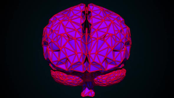 Low Poly Brain alt