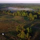 Beautiful Morning Flight Over the Plantation with Apple Trees on a Drone - VideoHive Item for Sale