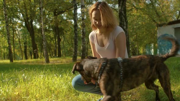 Dog handler training a dog in a park