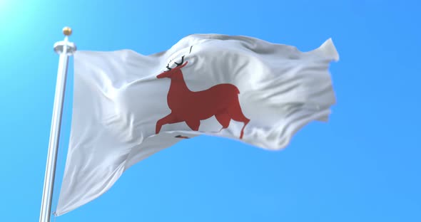 Flag of the City Nizhny Novgorod, Russia. Loop alt
