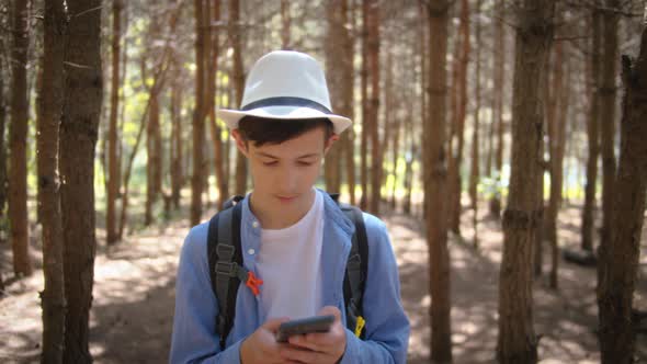 Boy Walks Through the Sunny Forest and Uses the Phone in Summer Stadicam Shot Cinematic