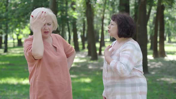 Conflict of Senior Caucasian Women in Sunny Park. Side View Portrait of Annoyed Female Retirees alt