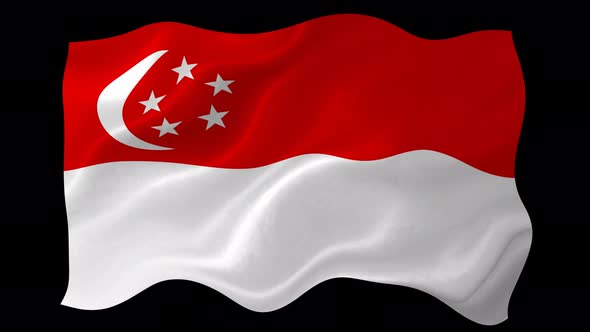 Singapore Flag Wavy National Flag Animation