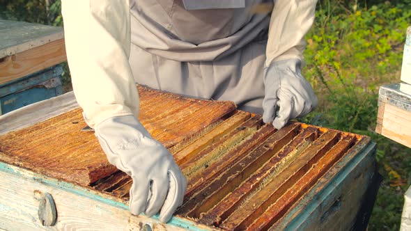 Small Business and Organic Food Production Concept alt