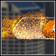 Particle Shake Lower Third - VideoHive Item for Sale