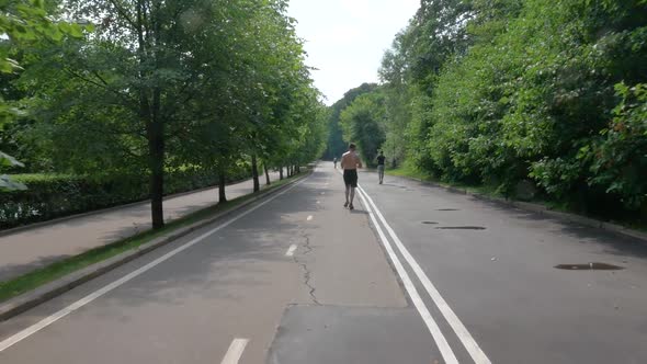 Men Jogging in the Park Early in the Morning on a Summer Day. alt