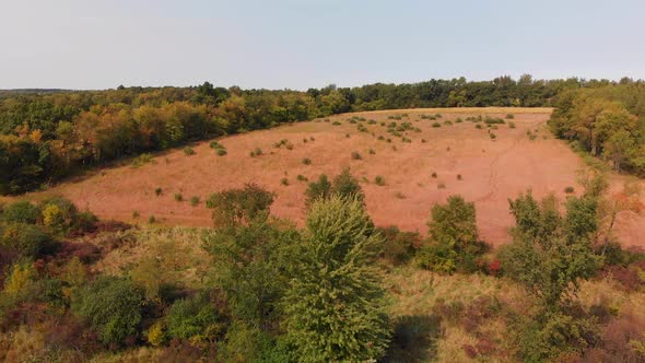  Countryside With Fields And Autumn Trees, Aerial Landscape alt