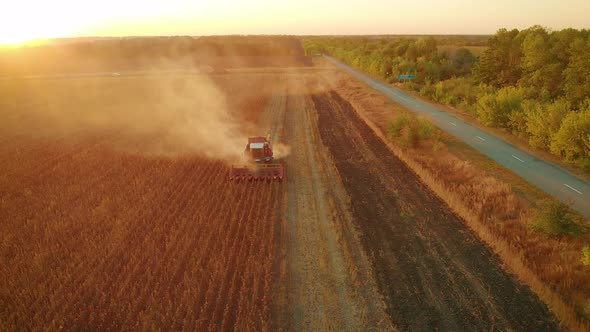 Aerial View Combine Harvesting on Sunflower Field, Mechanized Harvesting Sunflower alt