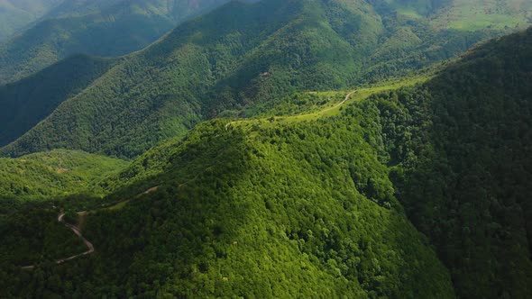 aerial view from mountain and forest